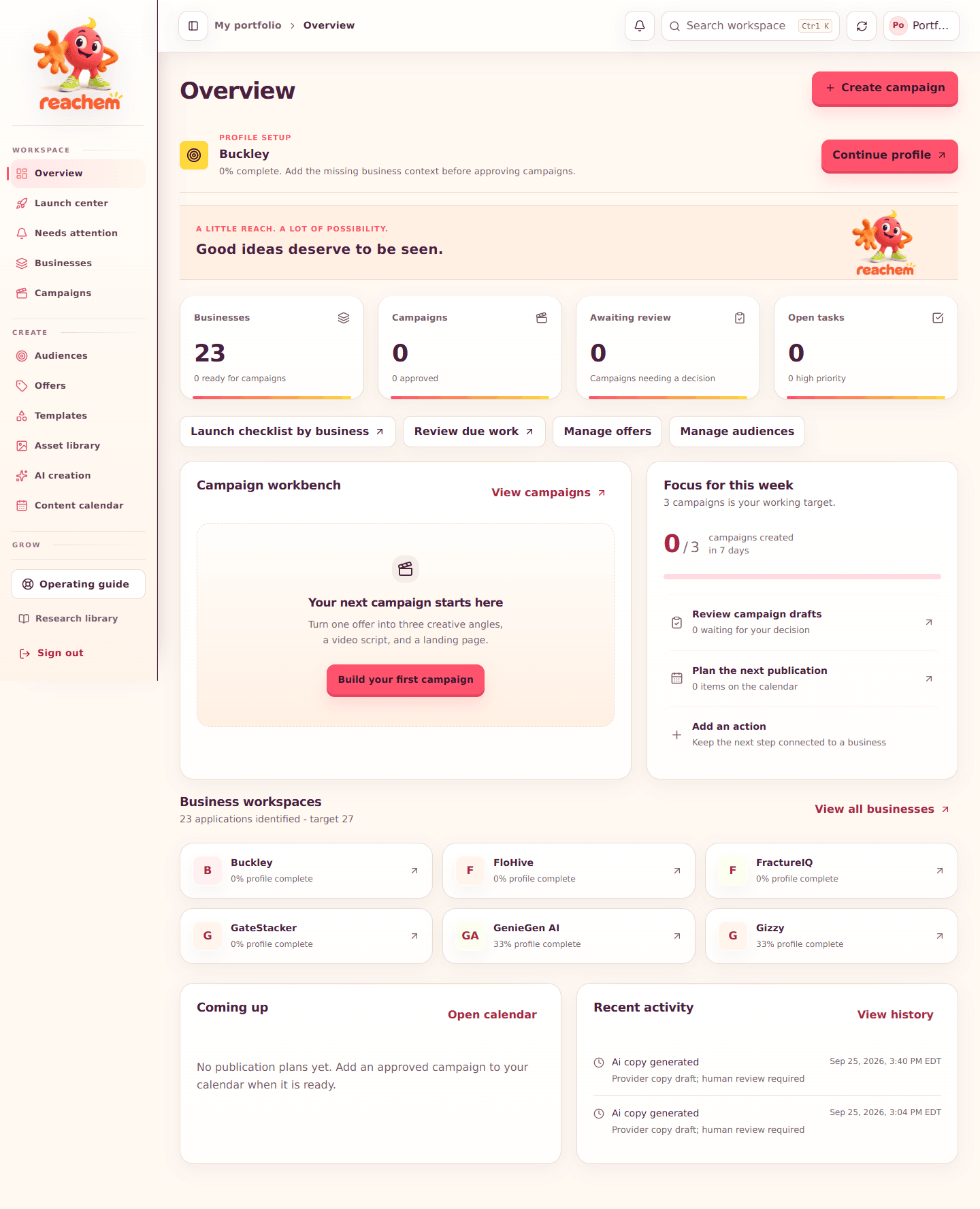 Reachem marketing workspace overview showing campaign preparation, review tasks and business workspaces